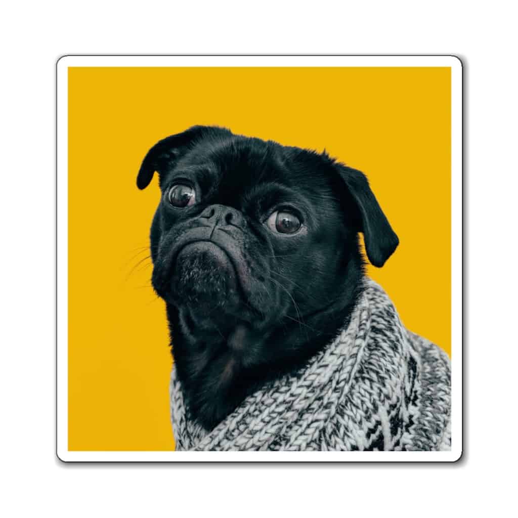 square custom magnets Print on Demand Sticker & Magnet Guide 7