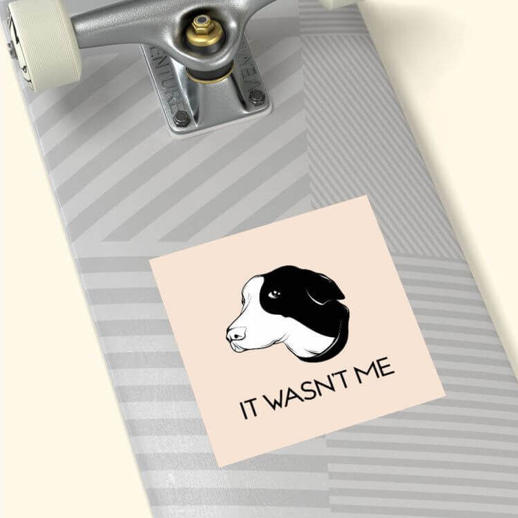 Custom Pet Stickers e1764921944723 Print on Demand Sticker & Magnet Guide 8