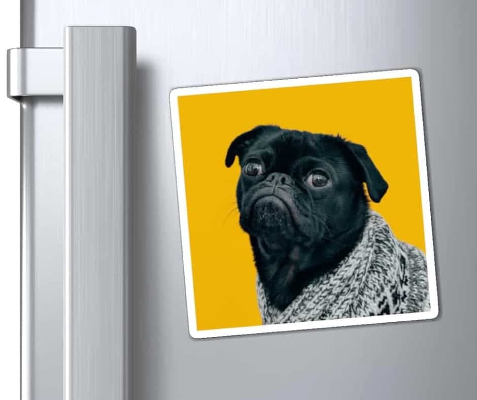 Print On Demand Custom Magnets Guide Start Designing Print on Demand Sticker & Magnet Guide 13